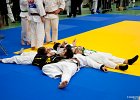ASTE1860brabant janv 2013