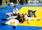 ASTE1867brabant janv 2013