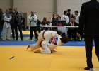 ASTE1874brabant janv 2013