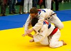 ASTE2029brabant janv 2013