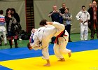 ASTE2035brabant janv 2013