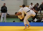 ASTE2084 2brabant janv 2013