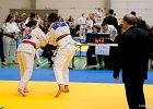 Y4J5733brabant janv 2013