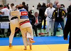 Y4J5746brabant janv 2013