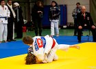 Y4J5777brabant janv 2013