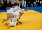 Y4J5779brabant janv 2013