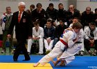 Y4J5799brabant janv 2013