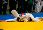 Y4J5813brabant janv 2013