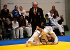 Y4J5837brabant janv 2013