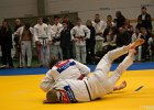 Y4J5864 2brabant janv 2013