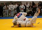 Y4J5865 2brabant janv 2013
