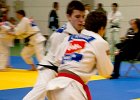 Y4J5898brabant janv 2013