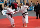 Eurometropole Masters 2013