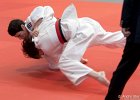 Eurometropole Masters 2013