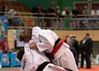Eurometropole Masters 2013