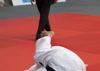 Eurometropole Masters 2013