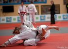 Eurometropole Masters 2013