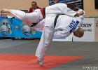 Eurometropole Masters 2013