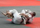 Eurometropole Masters 2013