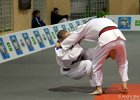 Eurometropole Masters 2013