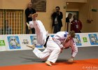Eurometropole Masters 2013