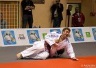 Eurometropole Masters 2013