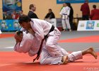 Eurometropole Masters 2013