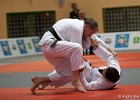 Eurometropole Masters 2013