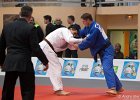 Eurometropole Masters 2013