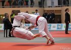 Eurometropole Masters 2013