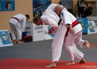 Eurometropole Masters 2013