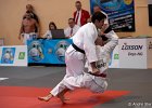 Eurometropole Masters 2013