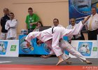 Eurometropole Masters 2013