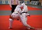 Eurometropole Masters 2013