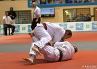 Eurometropole Masters 2013