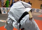 Eurometropole Masters 2013