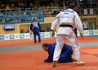 Eurometropole Masters 2013