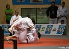 Eurometropole Masters 2013