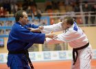 Eurometropole Masters 2013