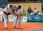 Eurometropole Masters 2013