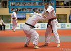 Eurometropole Masters 2013