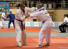 Eurometropole Masters 2013