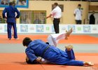 Eurometropole Masters 2013