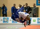 Eurometropole Masters 2013