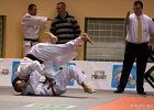 Eurometropole Masters 2013