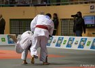 Eurometropole Masters 2013